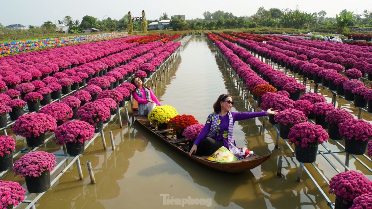 Chị Thái Thụy Thy Trúc, du khách đến từ TP Cần Thơ cùng bạn chọn tham quan làng hoa. “Đây là lần đầu tiên tôi đến với Làng hoa Sa Đéc, nơi đây rất đẹp. Cả nhóm có nhiều hình lung linh; cách bày trí hoa ở đây ra độc đáo, đặc biệt là mọi năm hoa cúc có nhiều sắc vàng, năm nay có những loại hoa màu đỏ cam, màu tím làm cho không khí xuân trở nên thật tuyệt vời. Ảnh: Hòa Hội