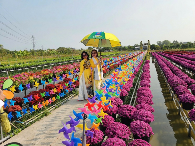 Buổi sáng thời tiết cuối năm ở Sa Đéc khá mát mẻ. Ảnh: Hòa Hội