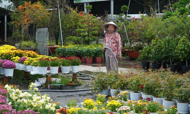 Làng hoa Sa Đéc đẹp rực rỡ, hút khách &#39;check - in&#39; ngày Tết - 15