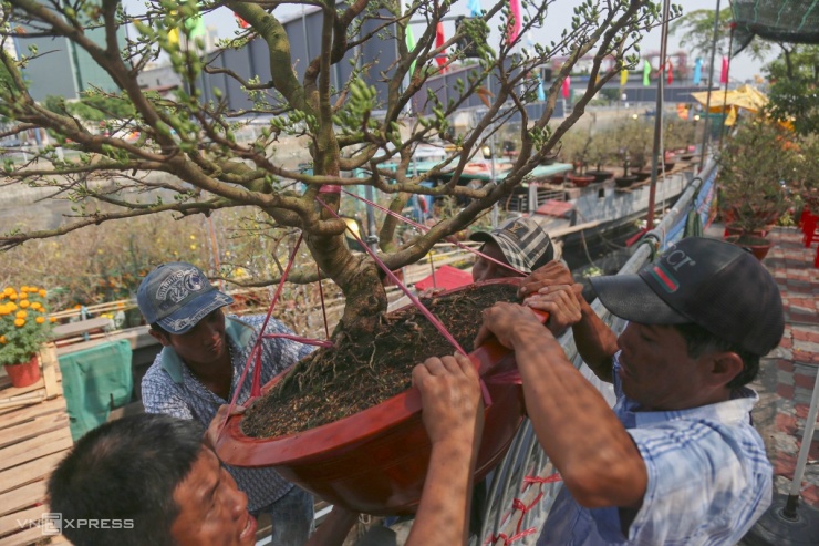 Nhộn nhịp chợ hoa &#39;trên bến dưới thuyền&#39; ở TP HCM - 4