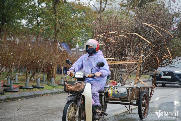 Mưa to gió lớn 27 Tết, quất đào đổ la liệt, tiểu thương co ro đợi khách - 12