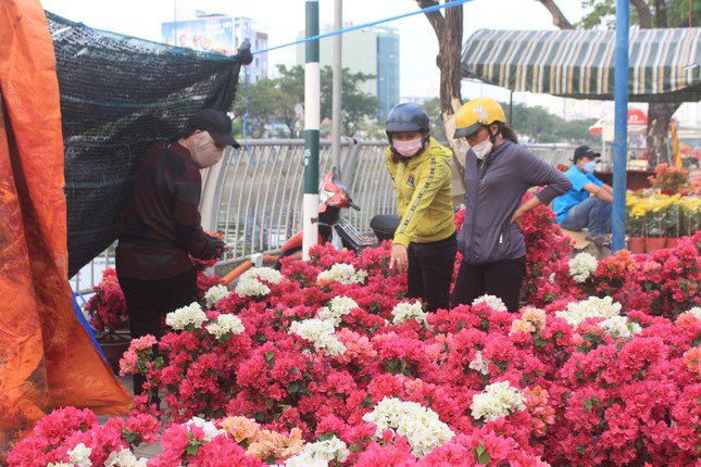 Giá hoa Tết năm nay có xu hướng giảm.