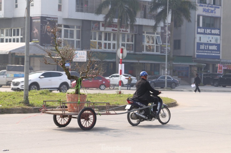 Thu nhập của &#39;người chở mùa xuân&#39; giảm mạnh vụ Tết - 5