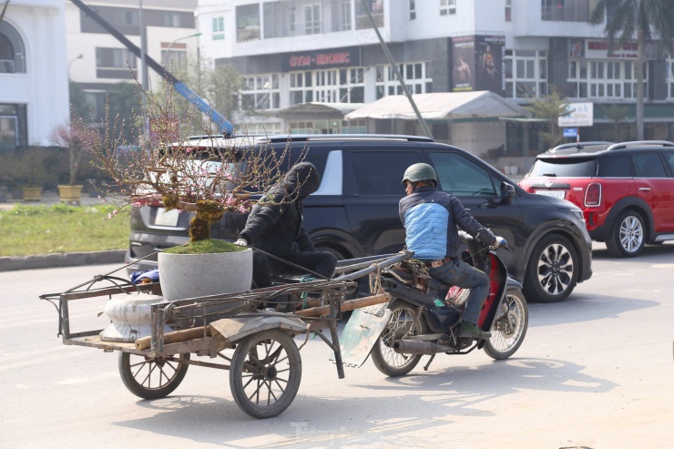 Mặc dù công việc ít, thu nhập giảm mạnh, song nhiều người vẫn túc trực tại các điểm bán hoa Tết để chờ đơn hàng với hy vọng có cái Tết đủ đầy hơn.