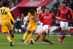 Trực tiếp bóng đá Nottingham Forest - Brighton: 