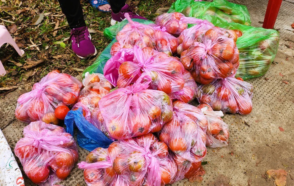 Cà chua là nguyên liệu không thể thiếu ở chợ Chuộng, được sử dụng để làm "vũ khí" ném nhau cầu may mắn