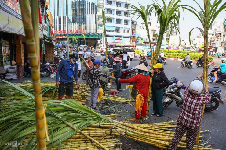 Nhộn nhịp mua mía thân vàng trước ngày vía Ngọc hoàng - 1