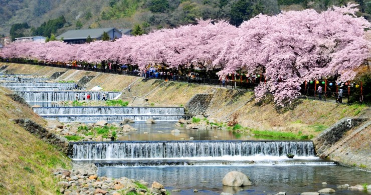 Hakone - thị trấn được nhiều sao Hoa ngữ yêu thích - 6