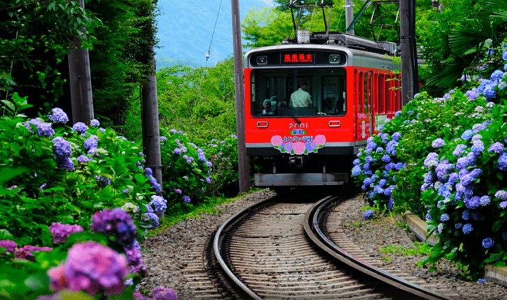 Hakone - thị trấn được nhiều sao Hoa ngữ yêu thích - 10