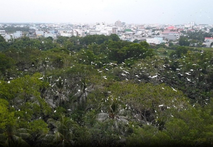 &#39;Đột nhập&#39; vườn chim có vị trí đặc biệt nhất Việt Nam - 1