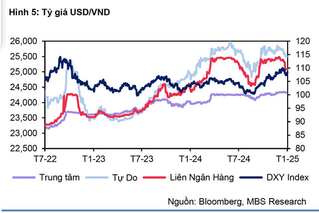 Vì sao chuyên gia dự báo giá USD có thể chạm 26.000 đồng/USD? - 2