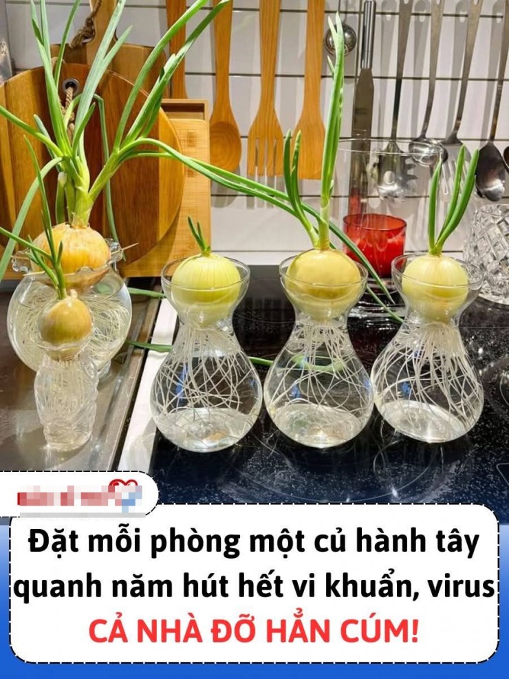 Bài chia sẻ trên mạng xã hội về tác dụng của củ hành tây. Ảnh: Chụp màn hình.