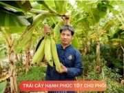 Loại quả được mệnh danh là “trái cây hạnh phúc”, rất giàu dinh dưỡng cho phổi, nhưng thường bị người Việt bỏ qua