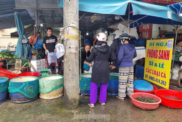 Các tiểu thương cho hay hầu hết người dân đi mua cá phóng sinh trong ngày rằm tháng Giêng đều không mặc cả. Bán có chênh lệch với ngày thường mỗi kg một vài chục ngàn khách hàng vẫn vui vẻ mua.