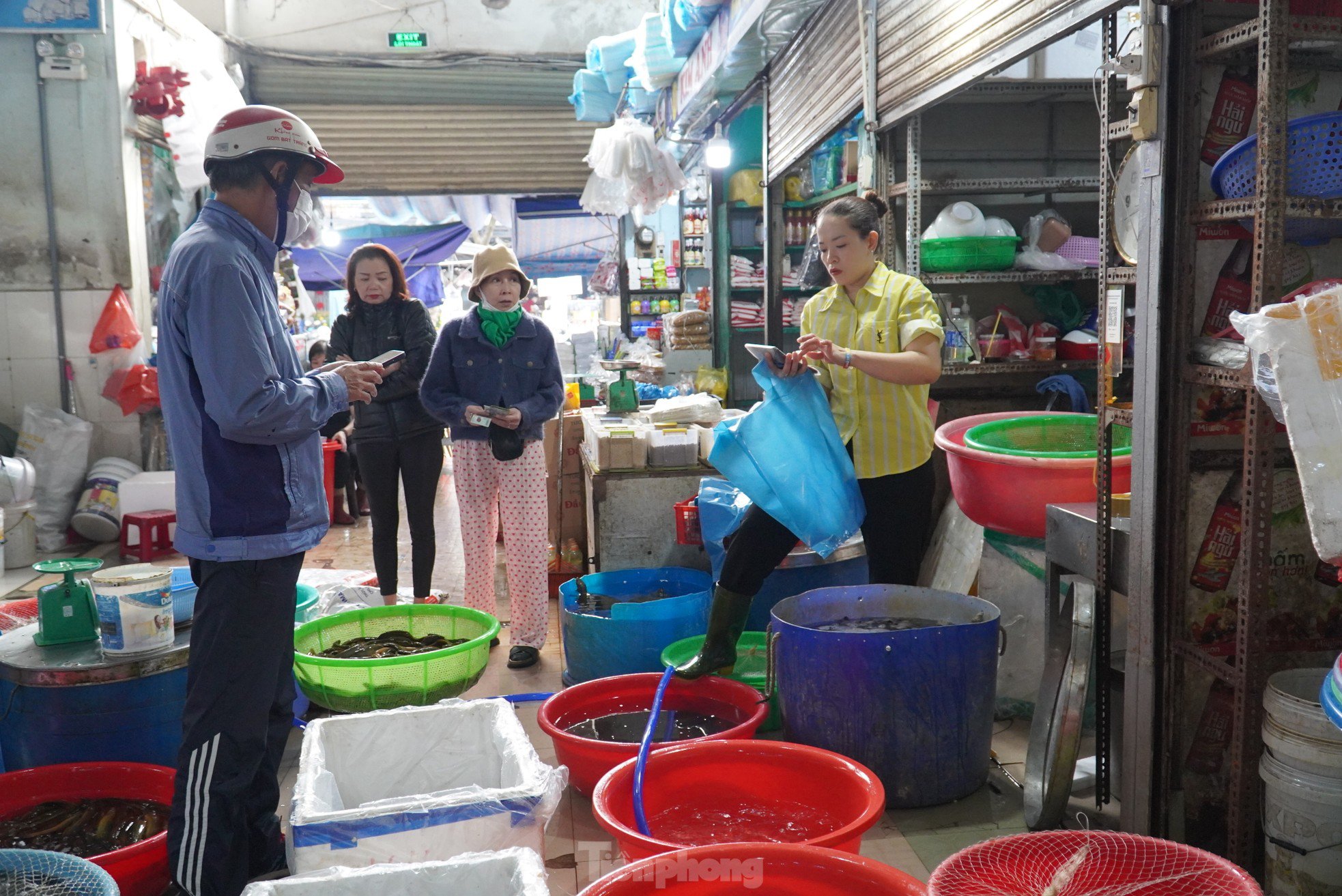 Nhiều người dân mua tới gần cả trăm kg cá. "Vợ chồng tôi ăn chay nhiều năm, để ra một khoản nhỏ để làm những việc lành, trong đó có phóng sinh. Sáng nay nhà tôi mua gần 100kg, đủ loại lươn, cá mang đi thả. Mỗi người một quan niệm, riêng tôi khi nhìn thấy đàn cá quẫy đuôi bơi giữa sông, về với môi trường tự nhiên giống như con người bị giam nhốt lâu nay được thả tự do. Tôi thỏa lòng với khoảnh khắc đó', ông N.T. (62 tuổi, quận Hải Châu) trải lòng.