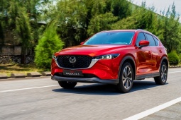 "Chốt hạ" doanh số SUV C tại Việt Nam năm 2024: CX-5 đứt nhịp tăng, CR-V tăng vượt bậc