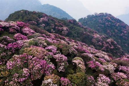 5 cung trekking mùa xuân miền Bắc