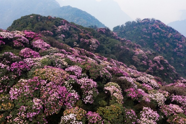 5 cung trekking mùa xuân miền Bắc