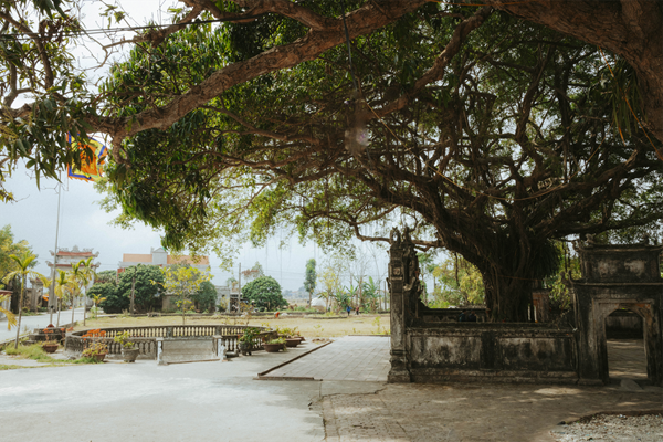 Ngôi đền cổ cách Hà Nội 70km, có &#39;báu vật xanh&#39; trăm tuổi thu hút du khách - 2