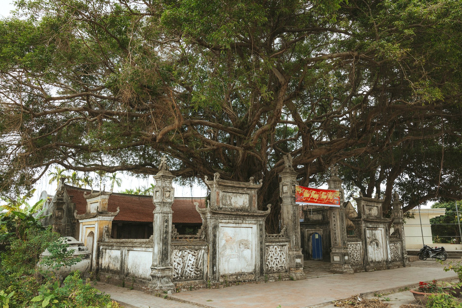 Ngôi đền cổ cách Hà Nội 70km, có &#39;báu vật xanh&#39; trăm tuổi thu hút du khách - 8