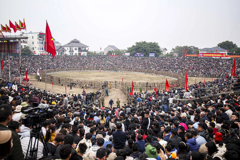 Sáng nay, ngày 14-2 (tức 17 tháng Giêng) hàng nghìn người dân cùng đông đảo du khách thập phương đã về với Lễ hội chọi trâu truyền thống ở xã Hải Lựu, huyện Sông Lô, tỉnh Vĩnh Phúc.