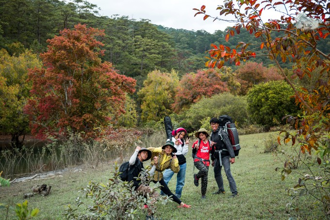 Rừng cây chân chim đổi màu lá đỏ khoảng đầu tháng 2. Ảnh: Lạc Tour