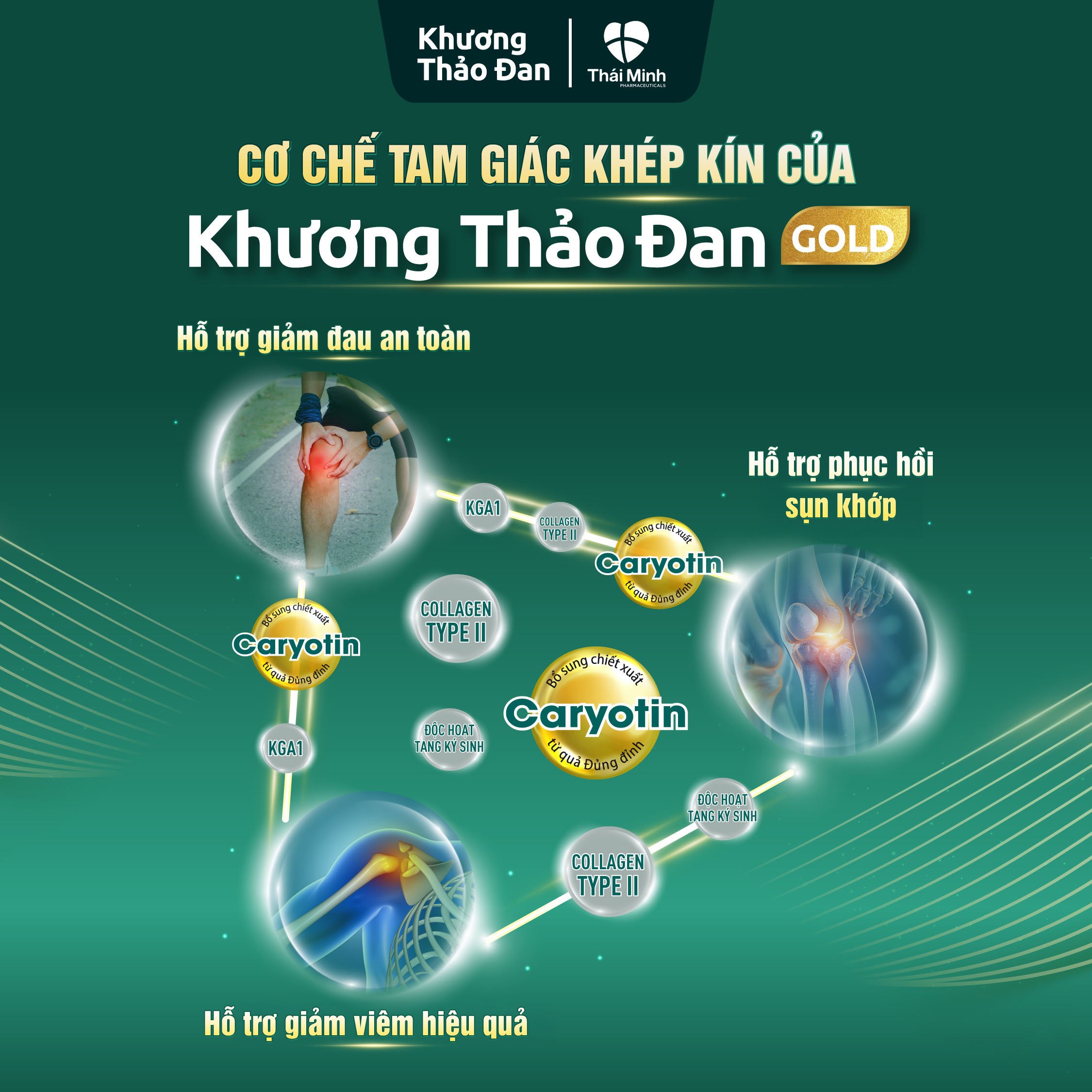 Khương Thảo Đan Gold hỗ trợ giảm đau, giảm các triệu chứng viêm và giúp phục hồi sụn khớp thoái hóa