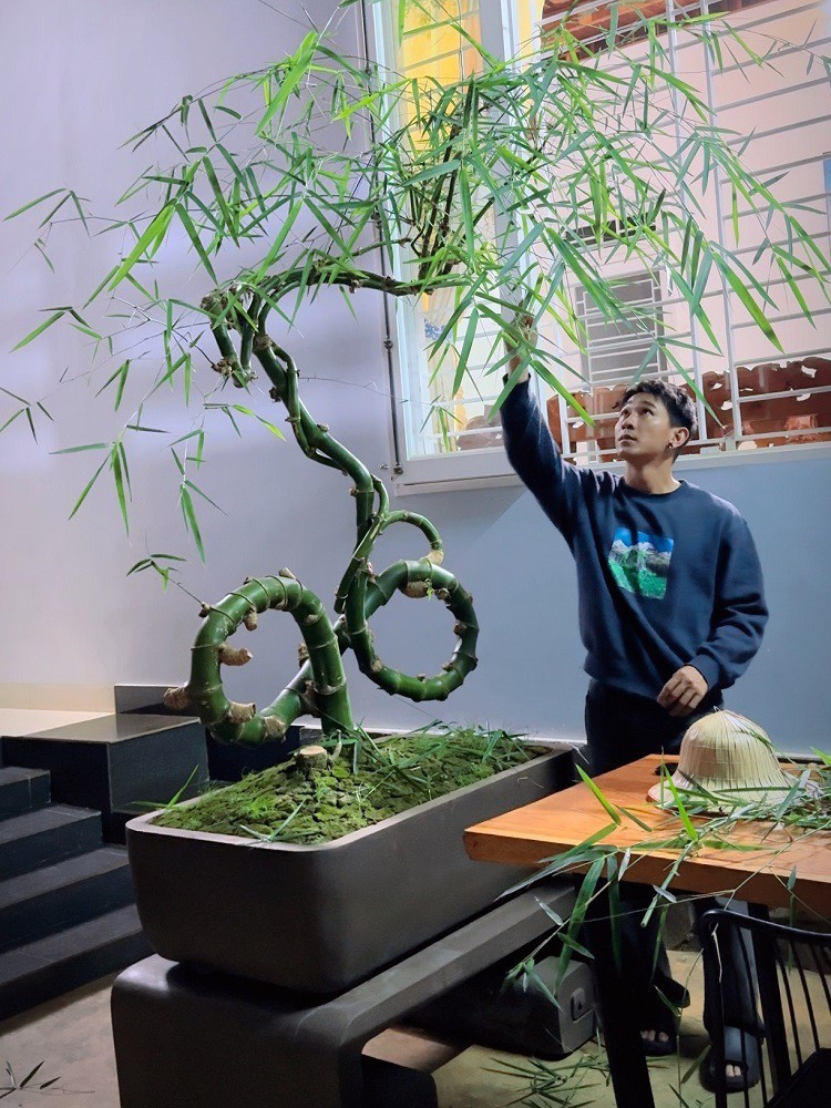 Chậu tre bonsai của anh Thọ có giá trên 100 triệu đồng.