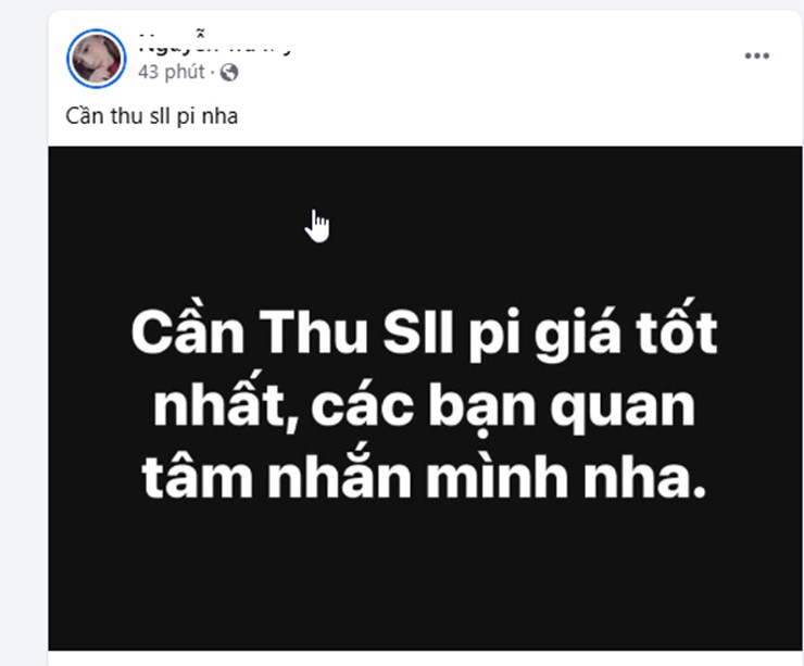 Nhà đầu tư chi hàng trăm triệu đồng gom Pi, pháp luật hiện hành quy định thế nào? - 3