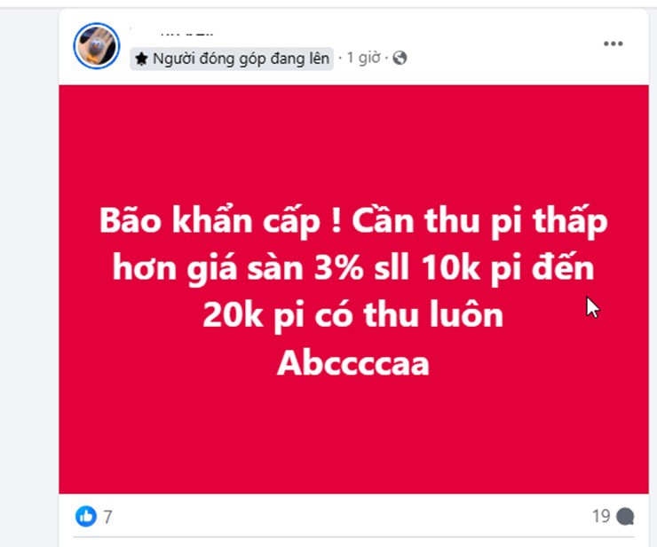 Nhà đầu tư chi hàng trăm triệu đồng gom Pi, pháp luật hiện hành quy định thế nào? - 2