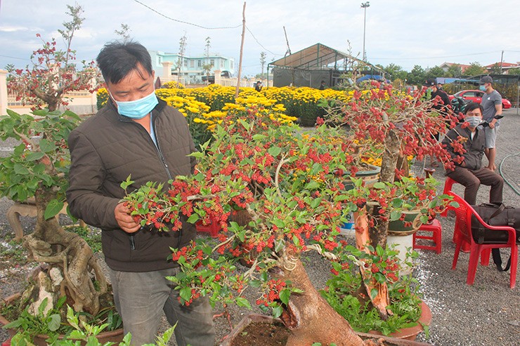 Trên thị trường, bonsai dâu tằm có giá từ vài trăm đến vài triệu đồng. Với những cây tuổi đời lâu năm, thân xù xì, dáng độc lạ, giá có thể lên tới vài chục triệu đồng.
