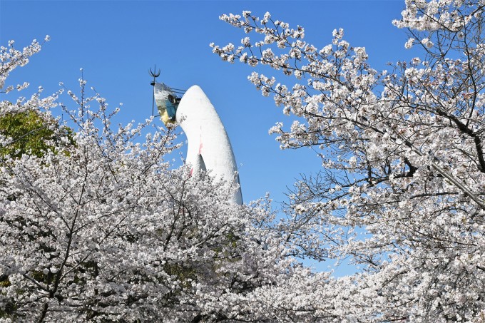 Tháp Mặt Trời tại Công viên kỷ niệm Expo 70. Ảnh: Osaka Prefectural Government