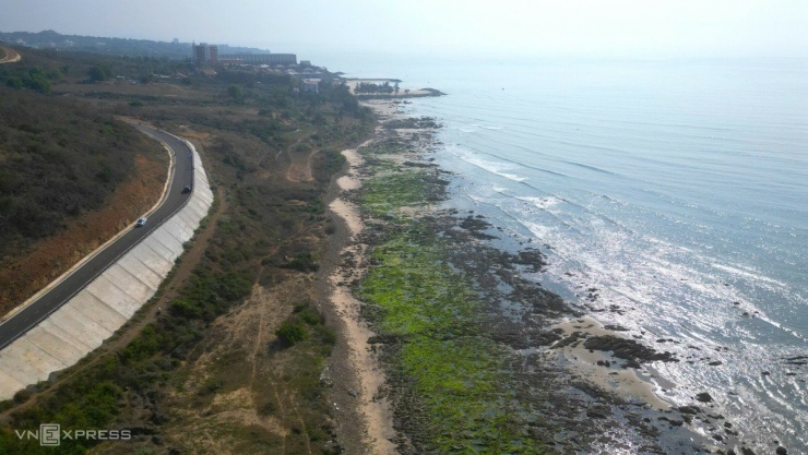 Ngỡ ngàng trước bãi rêu ở làng chài Phan Thiết - 1