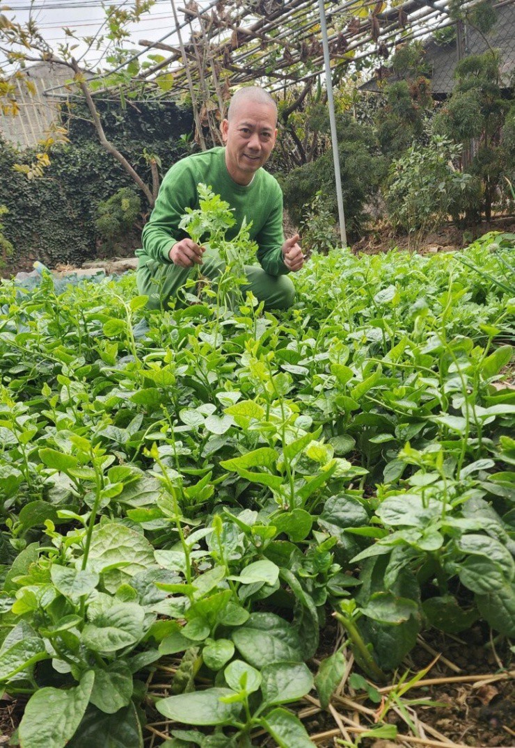 "Cụ Đoành" Trần Bình Trọng khoe nhà ở quê có vườn rau xanh mướt, cơ ngơi đang sống sang trọng "hết nước chấm" - 4