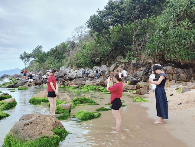 Đà Nẵng: Mùa rêu xanh trên rạn Nam Ô lại về, rủ hội bạn thân check-in thôi! - 8