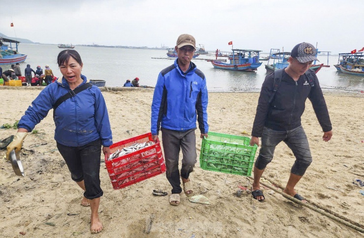 Hai ngày ra khơi, ngư dân Hà Tĩnh trúng đậm hải sản, thu nhập hàng chục triệu đồng - 5