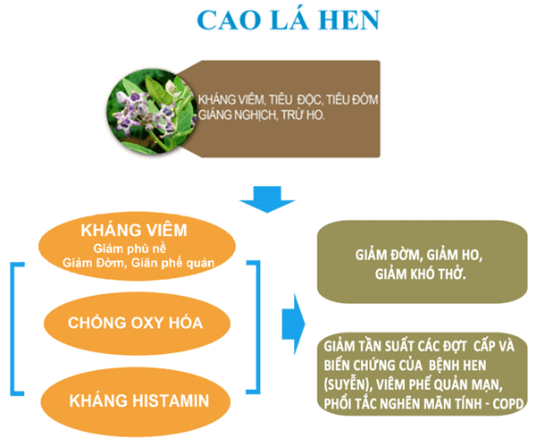 Bảo Khí Khang – TOP 5 Thương Hiệu Quốc Gia - Giải pháp vàng cho bệnh hô hấp mạn tính - 3