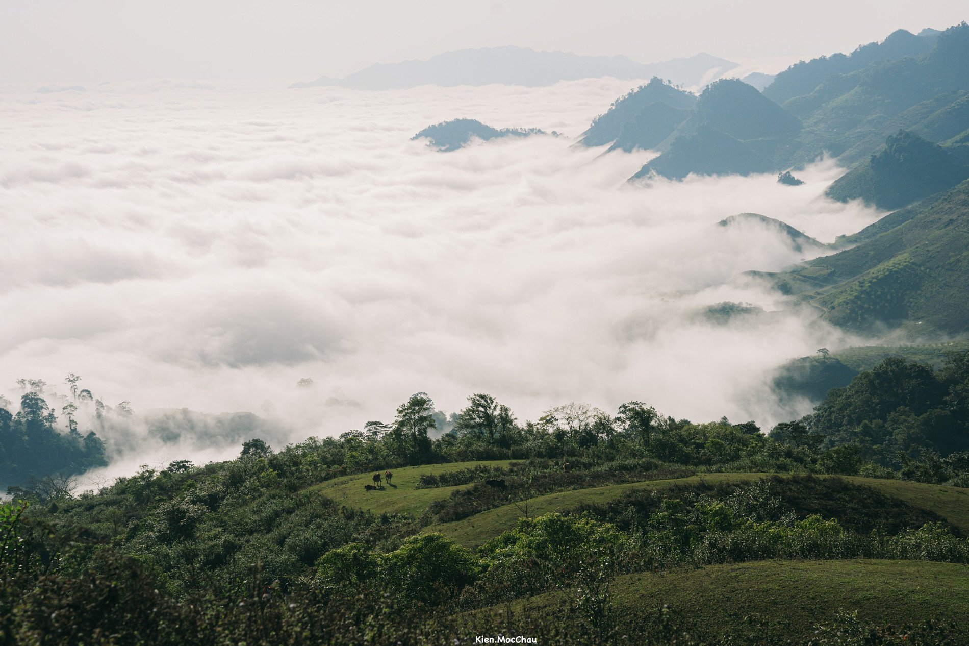 Điểm săn mây cách Hà Nội 170km, khách tới cắm trại, trải nghiệm thời tiết 4 mùa - 1 Điểm săn mây cách Hà Nội 170km, khách tới cắm trại, trải nghiệm thời tiết 4 mùa - 1