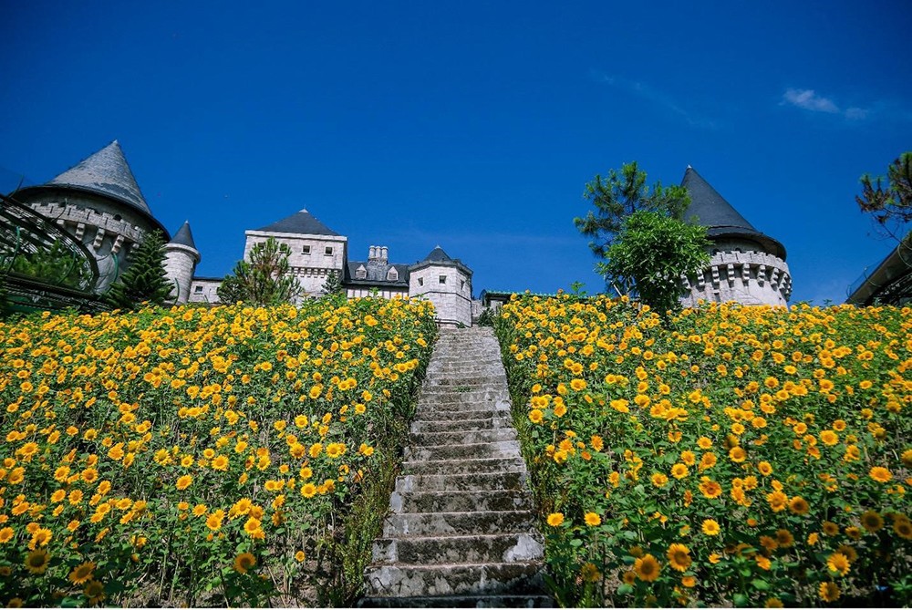 Hàng ngàn du khách miền Trung - Tây Nguyên đổ về Bà Nà Hills trong ngày đầu áp dụng giá vé 350.000 VNĐ - 3