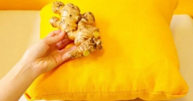 Công dụng bất ngờ khi đặt gừng cạnh gối ngủ