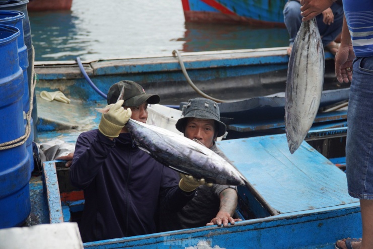 Bám biển đối với ngư dân miền Trung không chỉ để đánh bắt, mưu sinh mà còn góp phần bảo về chủ quyền biển đảo.