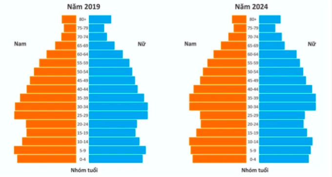 Tháp dân số được chia thành hai phần bởi đường cao từ đáy tháp lên đỉnh tháp, trong đó bên phải biểu thị dân số nữ và bên trái biểu thị dân số nam. Phần đáy tháp (hai thanh của nhóm tuổi 0-4 và 5-9) cho thấy sự thu ngắn của năm 2024 so 2019, cho thấy mức sinh giảm sau 5 năm. Trong khi nhóm tuổi phần đỉnh tháp (trên 80) tiếp tục được mở rộng. Ảnh: Tổng cục thống kê