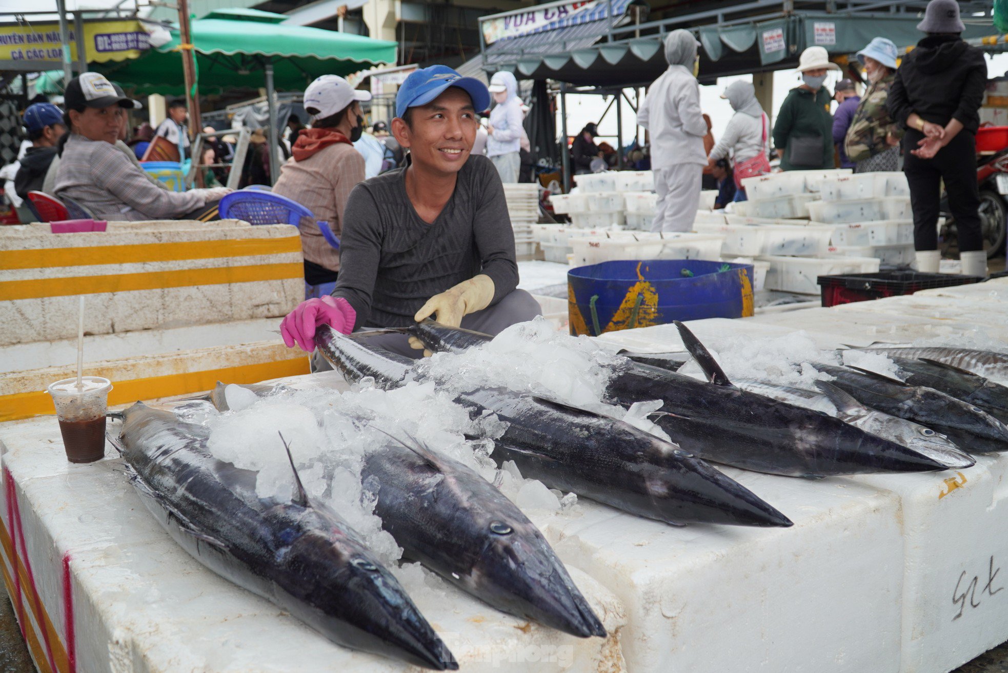 Ngư dân đánh bắt được cá "khủng" phải vài người khiêng lên bờ - 20