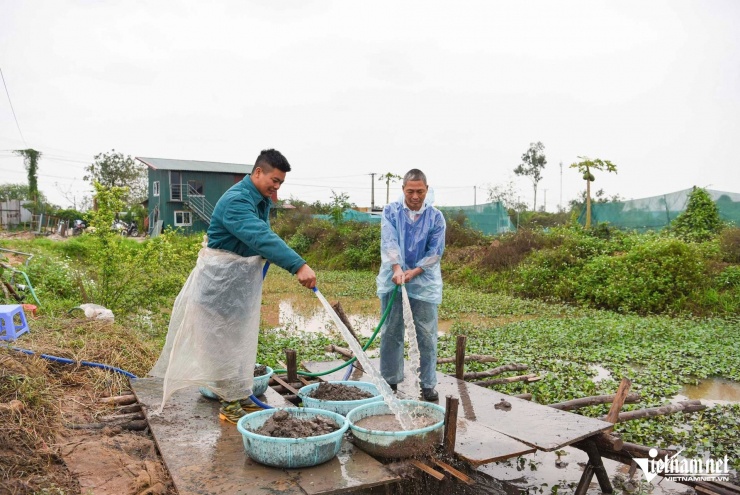 Quá trình khai quật đang được triển khai thận trọng, tỉ mỉ để giữ được nguyên vẹn cổ vật.