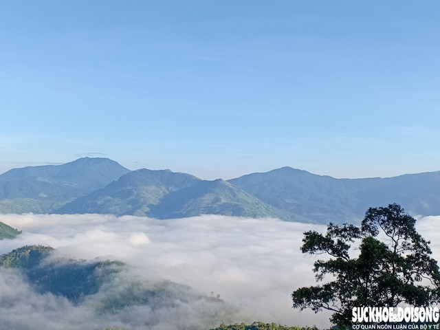 Nhiều người vẫn chưa biết đến địa điểm săn mây ở Vườn quốc gia Phước Bình, bởi đường đến đây khá khó đi, thích hợp cho người thích leo núi, phượt trải nghiệm. Ảnh: Duy Ngọc