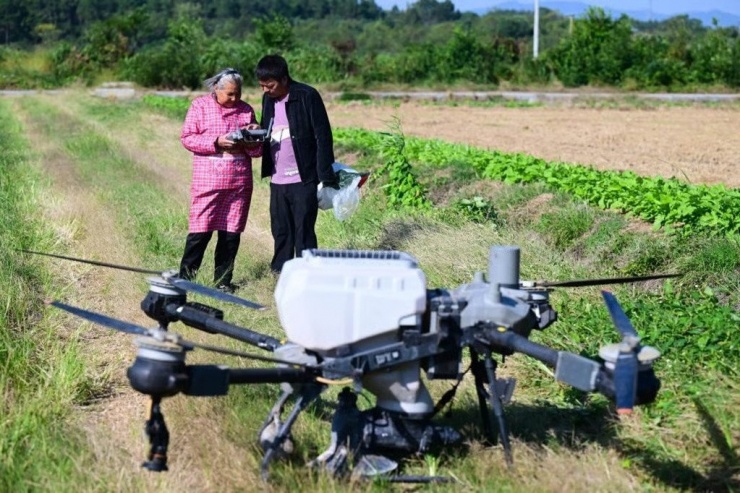 Việc chuyển đổi từ lao động thủ công sang công nghệ máy bay không người lái đã giúp tăng đáng kể sản lượng nông nghiệp của gia đình. (Ảnh: Tân Hoa Xã)
