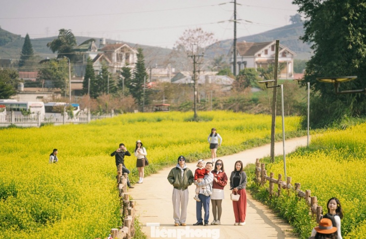 Chị Trần Thị Trâm Anh - du khách đến từ Hà Nội - chia sẻ cảm xúc khi lần đầu đặt chân đến vườn hoa cải ở Mộc Châu: “Tôi thật sự bất ngờ trước vẻ đẹp nơi đây. Không gian rất yên bình, hoa nở bạt ngàn, giúp chúng tôi cảm thấy thư thái và có những bức ảnh đẹp để lưu giữ kỷ niệm”. Với nhiều du khách, chuyến đi không chỉ đơn thuần là tham quan, chụp ảnh, mà còn là hành trình tìm về sự tĩnh lặng, cân bằng giữa nhịp sống hối hả.