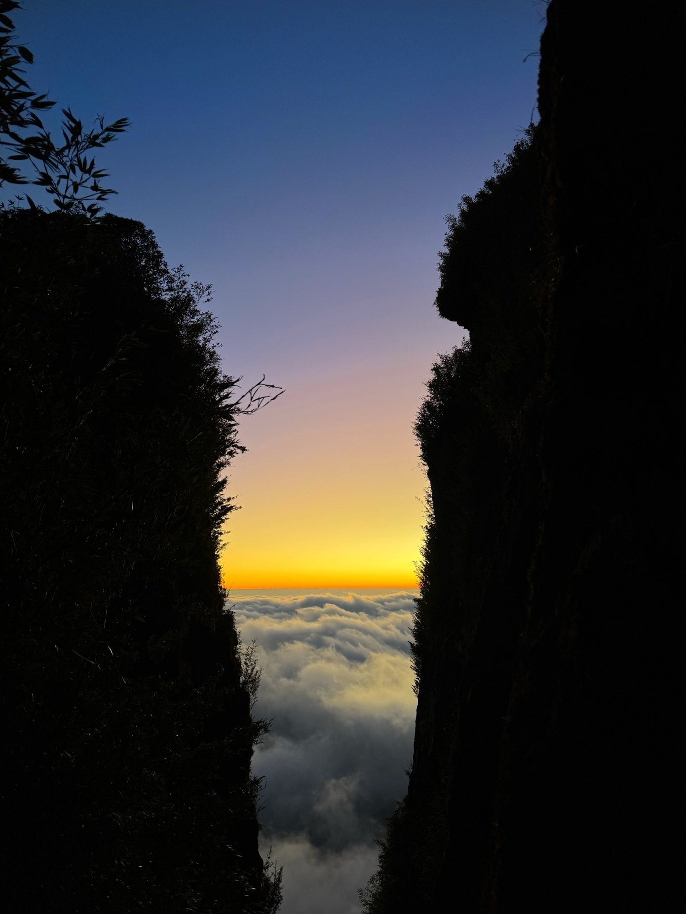 Từ đỉnh Ngũ Chỉ Sơn, vào những ngày quang đãng, du khách có thể phóng tầm mắt chiêm ngưỡng vẻ hùng vĩ của nhiều đỉnh núi nổi tiếng như Fansipan, Lảo Thẩn, Nhìu Cồ San, Kỳ Quan San, Chu Va, cùng biển mây biến ảo không ngừng. Không chỉ ban ngày, khi đêm xuống, Ngũ Chỉ Sơn còn mang vẻ đẹp khác biệt với bầu trời đầy sao và những cánh rừng, cây cối chìm trong tĩnh lặng. Để chiêm ngưỡng trọn vẹn vẻ đẹp của Ngũ Chỉ Sơn và bảo đảm an toàn, người dân và các porter khuyến cáo du khách cần theo dõi kỹ thời tiết, lựa chọn những ngày nắng ráo để leo núi.