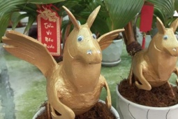 Dừa bonsai tạo hình ngựa thiên thần hút khách trước Tết