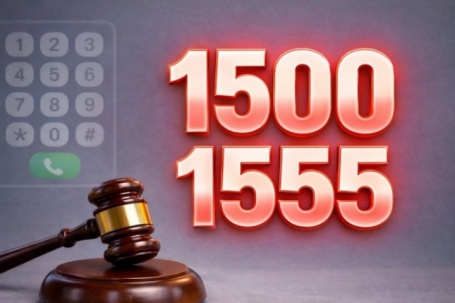 Hai số dịch vụ viễn thông 1500 và 1555 được đấu giá 1,02 tỷ đồng mỗi số